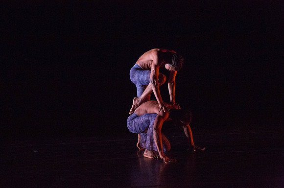 20131220_Ayikodans_Arsht__C7C1470