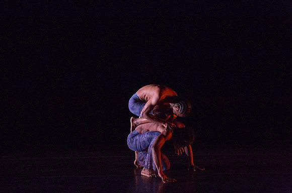 20131220_Ayikodans_Arsht__C7C1473