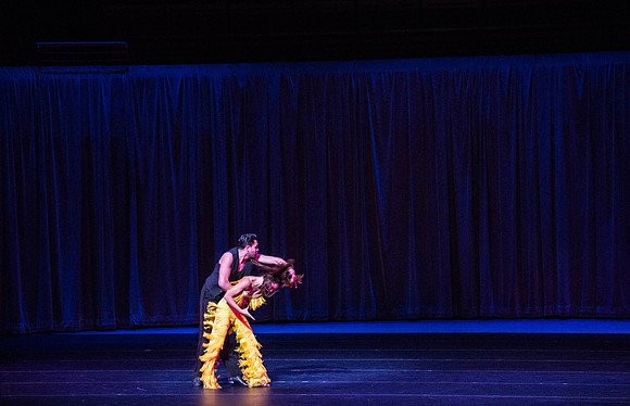 20150131_Ballroom_with_a_Twist_Arscht_9C7C0115