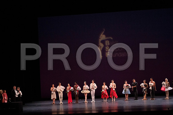 20231229_Ballet_6Support_Foundation_DSC2847 copy
