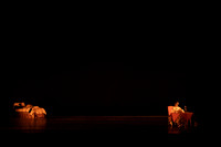 Ballet Support Fondation Performance Picks for Lola