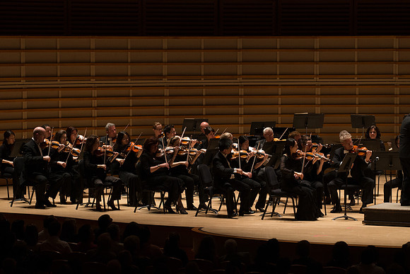 20140228_Detrot_Symphony_Orchestra_2014CG3P0138