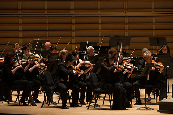 20140228_Detrot_Symphony_Orchestra_2014CG3P0242