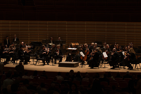 20140228_Detrot_Symphony_Orchestra_2014CG3P0020
