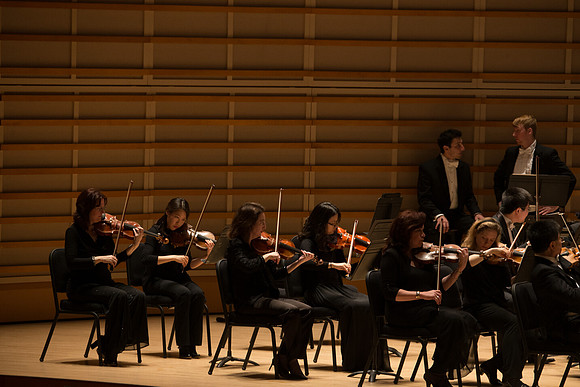 20140228_Detrot_Symphony_Orchestra_2014CG3P0040