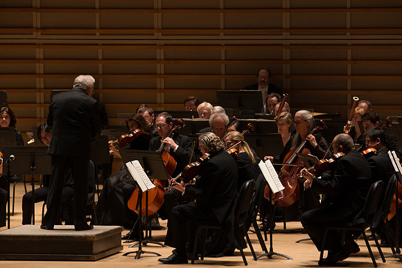 20140228_Detrot_Symphony_Orchestra_2014CG3P0148