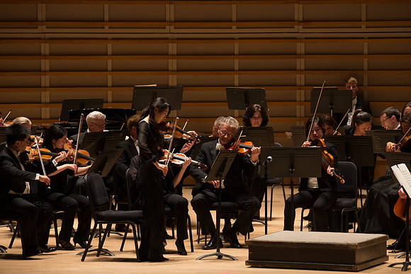 20140228_Detrot_Symphony_Orchestra_2014CG3P0116