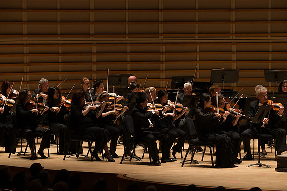 20140228_Detrot_Symphony_Orchestra_2014CG3P0193