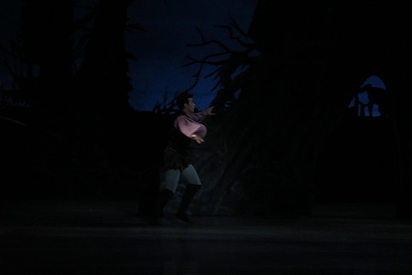 20161023_MCB_Giselle_Act2_3Cast_Jennifer_Laurent_Arsht__73A4930