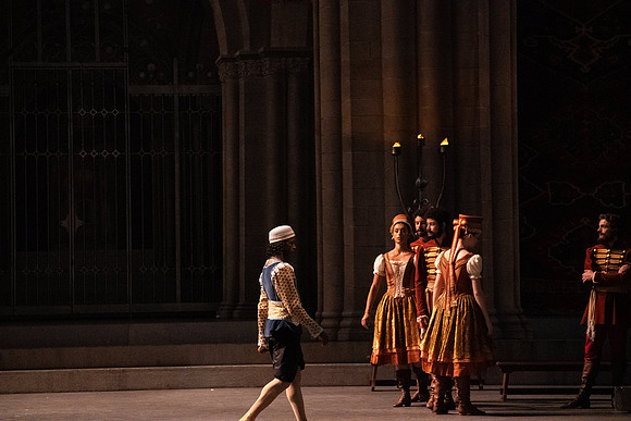 Swan_Lake_Act 3_DR 1 Cast5521