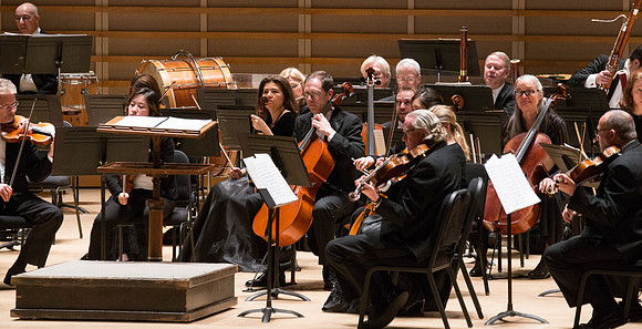 20140228_Detrot_Symphony_Orchestra_2014CG3P0027