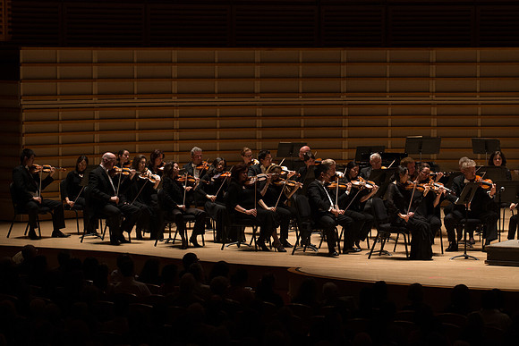 20140228_Detrot_Symphony_Orchestra_2014CG3P0224