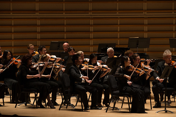 20140228_Detrot_Symphony_Orchestra_2014CG3P0205