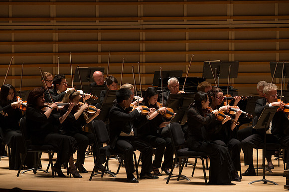20140228_Detrot_Symphony_Orchestra_2014CG3P0174