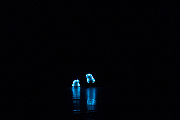 20230205_Monix_Alice_Arsht_DSC0207