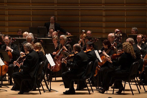 20140228_Detrot_Symphony_Orchestra_2014CG3P0230