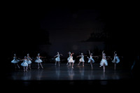 20151022_MCB_Swan_Lake_DR_Arsht__75A8100