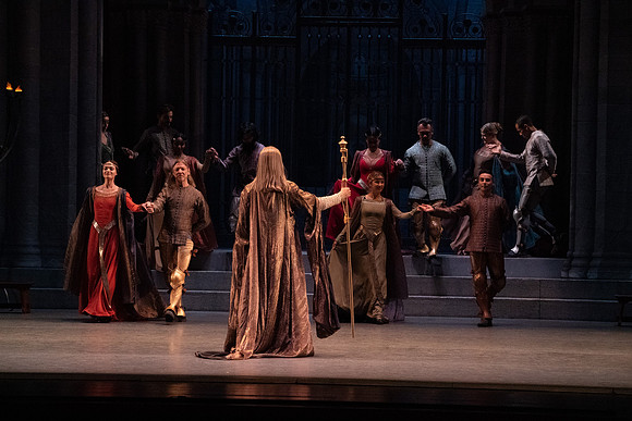 Swan_Lake_Act 3_DR 1 Cast5567