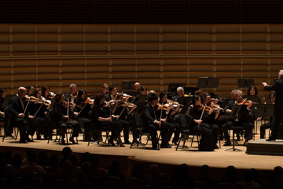 20140228_Detrot_Symphony_Orchestra_2014CG3P0139