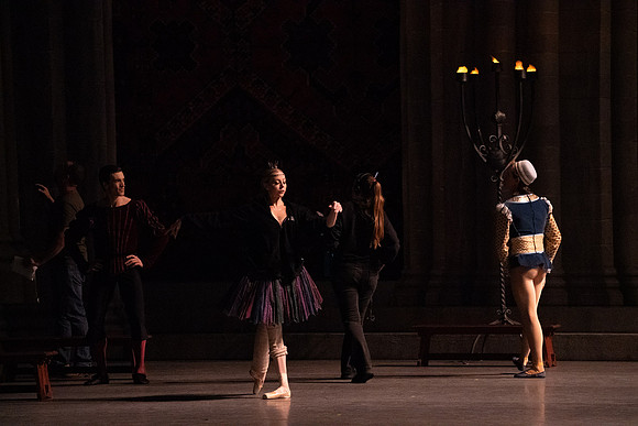 Swan_Lake_Act 3_DR 1 Cast5533