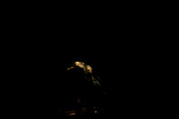 20140724_Hombre2_CG3P0009