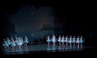 20151025_MCB_Swan_Lake_2Cast_Arsht_IMG_9966