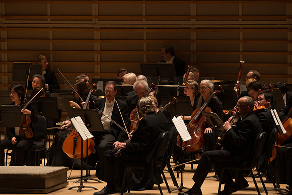 20140228_Detrot_Symphony_Orchestra_2014CG3P0104