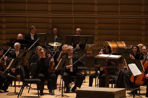20140228_Detrot_Symphony_Orchestra_2014CG3P0045