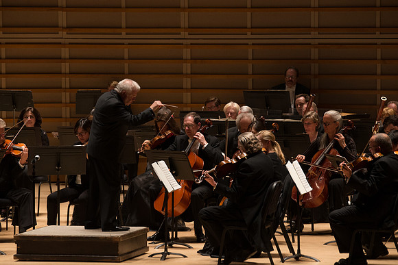 20140228_Detrot_Symphony_Orchestra_2014CG3P0156