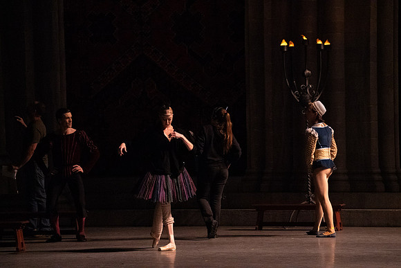 Swan_Lake_Act 3_DR 1 Cast5535