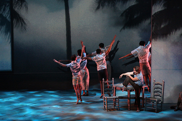 Before Night Falls Florida Grand Opera by Jorge Martin with Dolores M. Koch