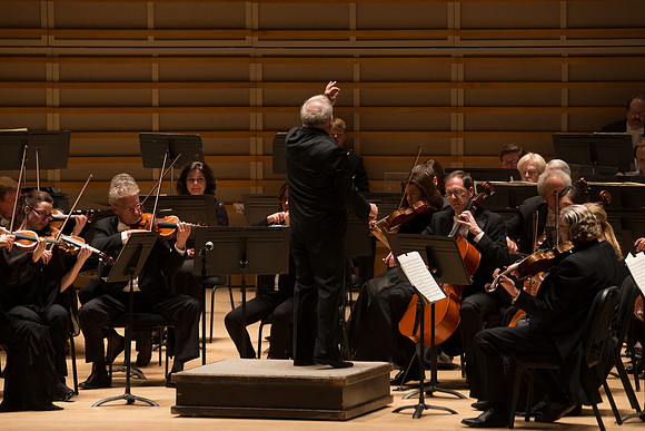 20140228_Detrot_Symphony_Orchestra_2014CG3P0271