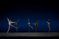 20261016_Allegro Brillante_DR_DSC00126
