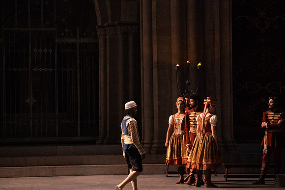 Swan_Lake_Act 3_DR 1 Cast5522