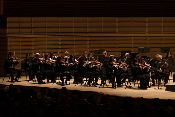 20140228_Detrot_Symphony_Orchestra_2014CG3P0194
