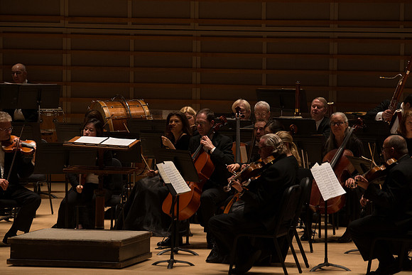 20140228_Detrot_Symphony_Orchestra_2014CG3P0027