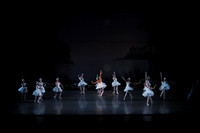 20151022_MCB_Swan_Lake_DR_Arsht__75A8101