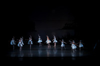 20151022_MCB_Swan_Lake_DR_Arsht__75A8102