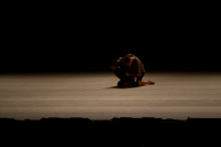 20141025_Batsheva_Arsht_AL1B0004