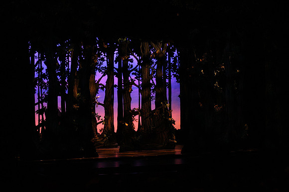 20141028_Cinderella_AL1B1149