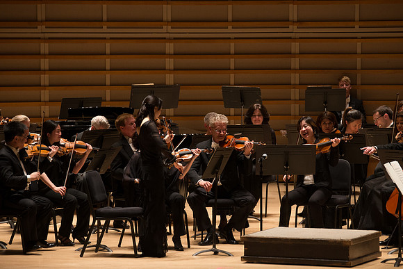 20140228_Detrot_Symphony_Orchestra_2014CG3P0115