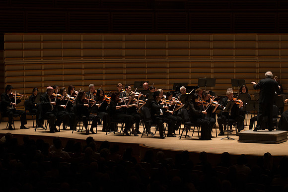 20140228_Detrot_Symphony_Orchestra_2014CG3P0221