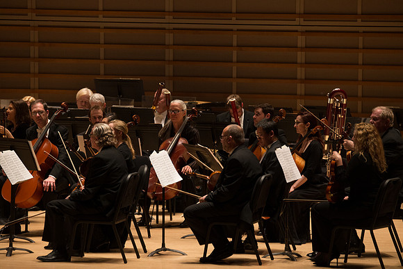 20140228_Detrot_Symphony_Orchestra_2014CG3P0047