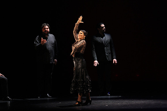 20140227_Flamenco_Festival_1_9C7C0093