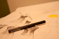 20120905_T_ 21-15-14_09-05-2012_IMG_0277