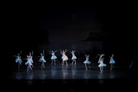 20151022_MCB_Swan_Lake_DR_Arsht__75A8103