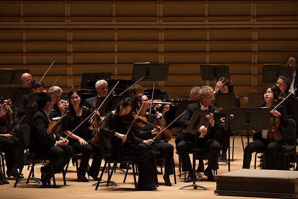 20140228_Detrot_Symphony_Orchestra_2014CG3P0118