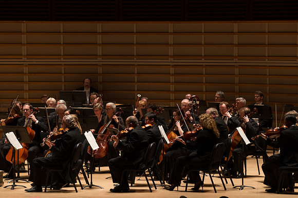 20140228_Detrot_Symphony_Orchestra_2014CG3P0186