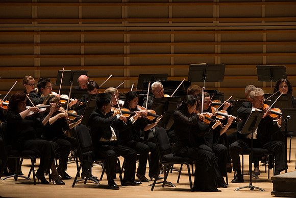 20140228_Detrot_Symphony_Orchestra_2014CG3P0244