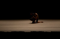 20141025_Batsheva_Arsht_AL1B0001